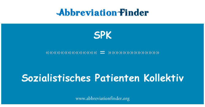 SPK: Sozialistisches Patienten Kollektiv
