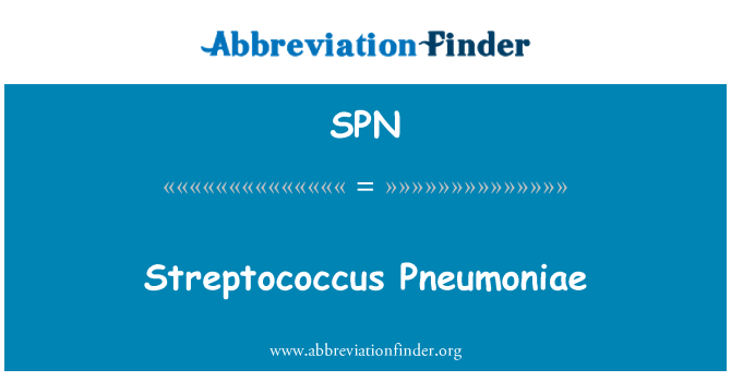 SPN: Streptococcus Pneumoniae