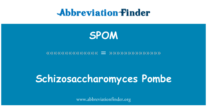 SPOM: Schizosaccharomyces Pombe