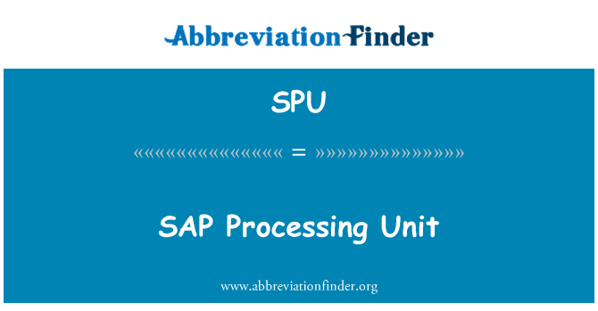 SPU: SAP Processing Unit