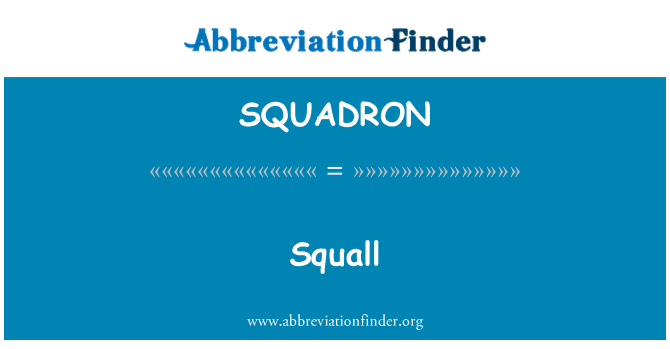 SQUADRON: Squall