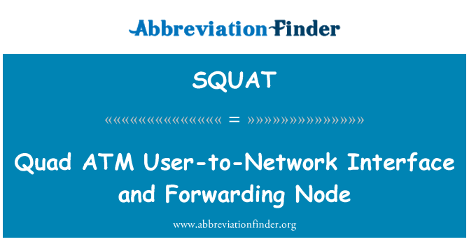SQUAT: 四 ATM 使用者-網路介面和轉發節點