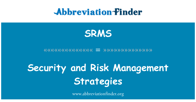SRMS: 安全與風險管理策略