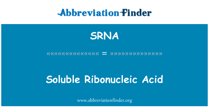 SRNA: Soluble dans l'acide ribonucléique