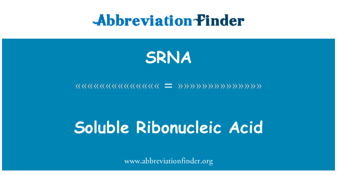 SRNA: Разтворими рибонуклеинова киселина