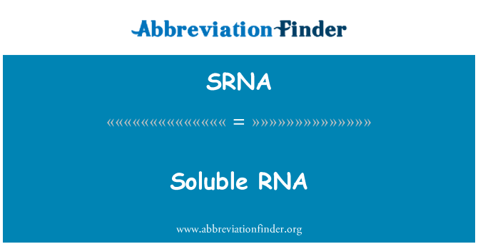 SRNA: อาร์เอ็นเอ Soluble
