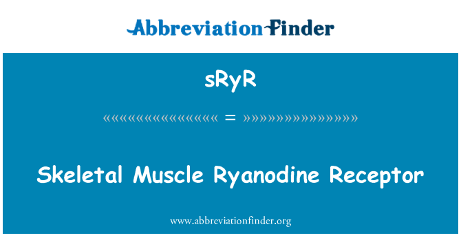 sRyR: 骨骼肌兰尼碱受体