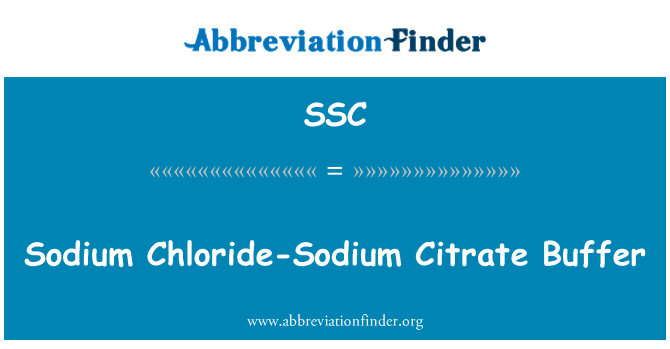 SSC: Chlorid sodný natrium citrát Buffer