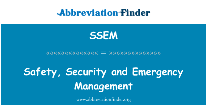 SSEM: 안전, 보안 및 위기 관리