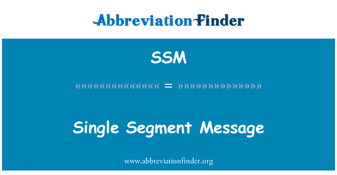 SSM: Jeden Segment správy