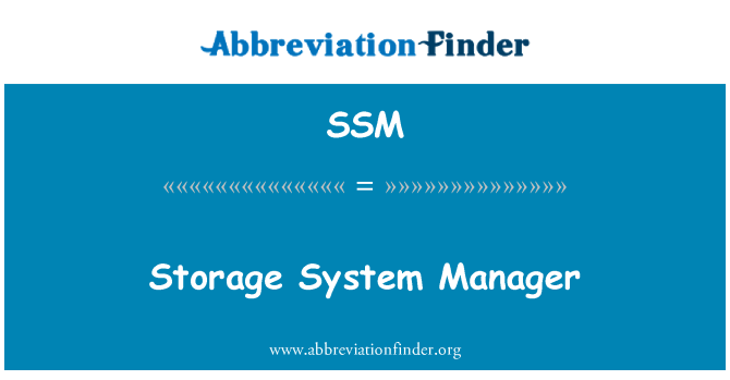 SSM: 存儲系統管理器