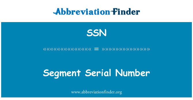 SSN: Sériové číslo segmentu
