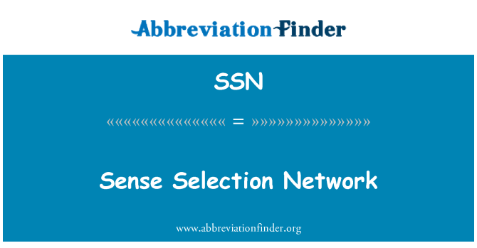 SSN: Sense Selection Network