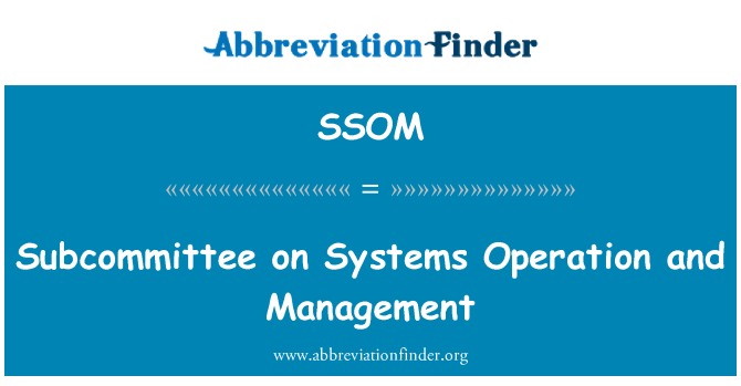 SSOM: Subcomisia pentru sisteme de funcţionare şi Management