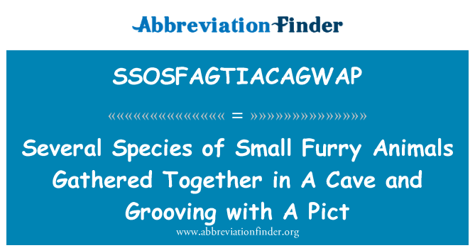 SSOSFAGTIACAGWAP: 小さな毛皮のような動物のいくつかの種は洞窟に集まったピクト溝入れ加工と