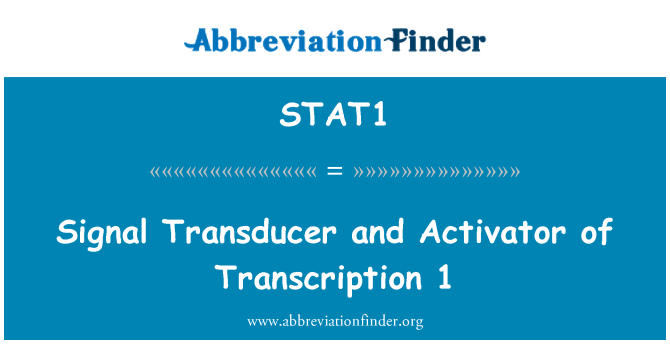 STAT1: Isyarat transduser dan Activator transkripsi 1