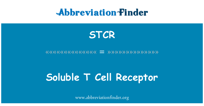 STCR: Lahustuv T-raku retseptori