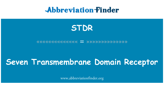 STDR: Siedem transbłonowe domeny receptora