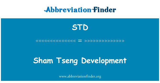 STD: 가짜 Tseng 개발
