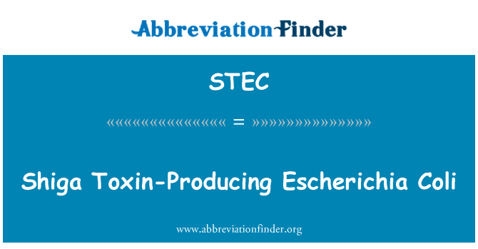 STEC: Shiga toxinproducerande Escherichia Coli