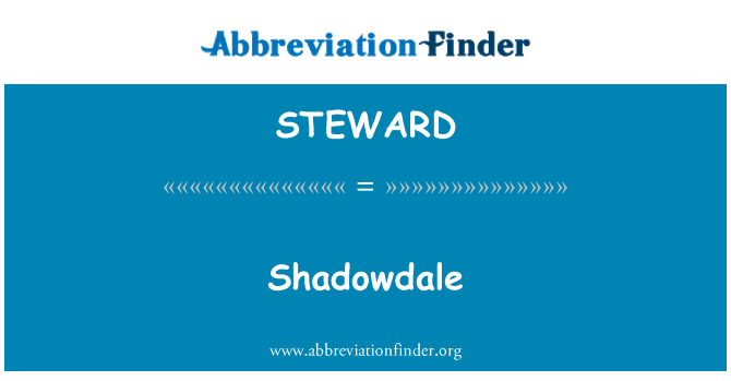 STEWARD: Shadowdale