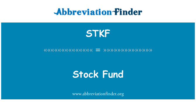 STKF: Stock fond