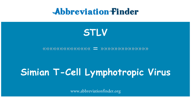 STLV: Обезьяний Т-клеток лимфотропный вирус