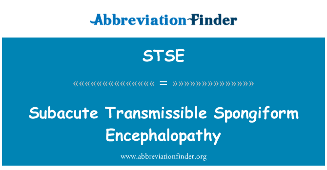 STSE: 亚急性传染性海绵状脑病
