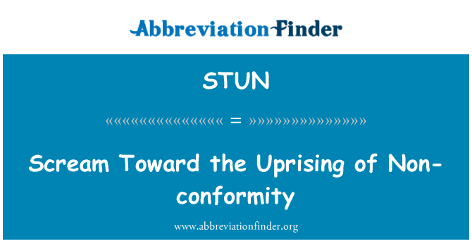 STUN: Striga spre revolta de neconformitate