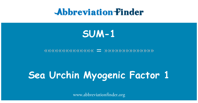 SUM-1: Morski jež miogene faktor 1