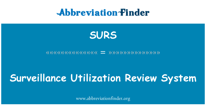 SURS: Auslastung Review Überwachungssystem