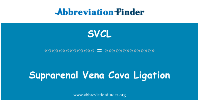 SVCL: Legatura della Vena Cava suprarenal