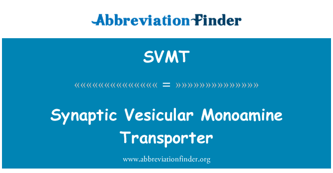 SVMT: Synaptic Vesicular Monoamine Transporter