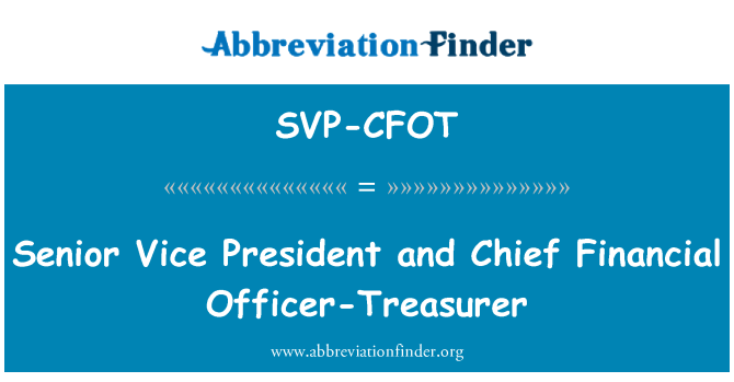 SVP-CFOT: Senior Vice President e Chief Financial Officer-tesoriere