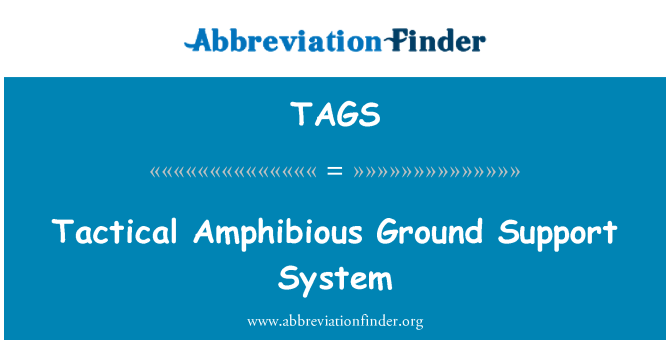 TAGS: Sistema de apoyo táctico tierra anfibia