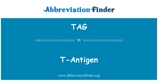 TAG: T-Antigène