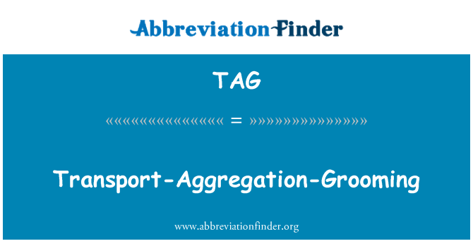 TAG: Transport-Aggregation-Grooming