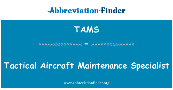 TAMS: Taktiske fly vedligeholdelse Specialist