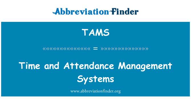 TAMS: Tempo e sistemi di gestione presenze