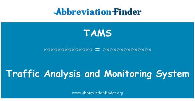 TAMS: Eismo analizė ir monitoringo sistema