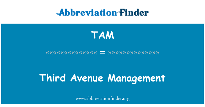 TAM: Gestion twazyèm avni