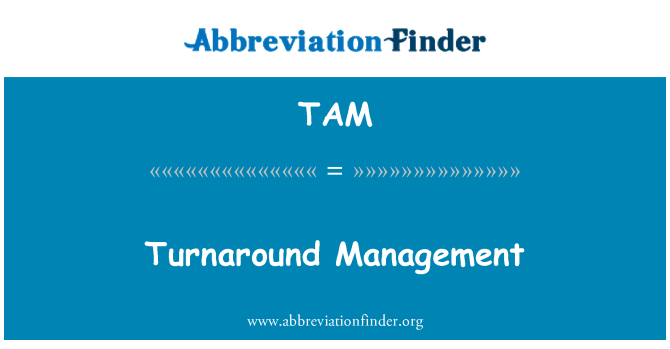 TAM: Turnaround Management