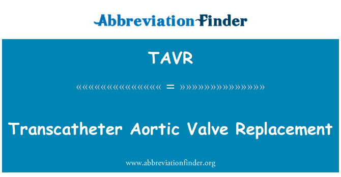 TAVR: Transcatheter aortální chlopně