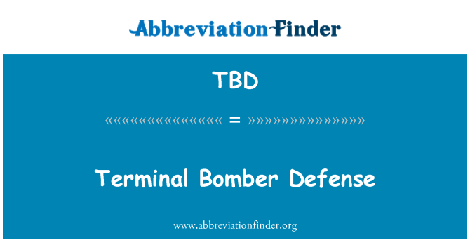 TBD: Terminal Bomber Defense