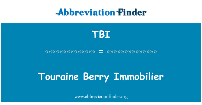 TBI: Touraine Berry Immobilier