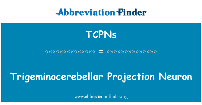 TCPNs: Trigeminocerebellar projektion Neuron