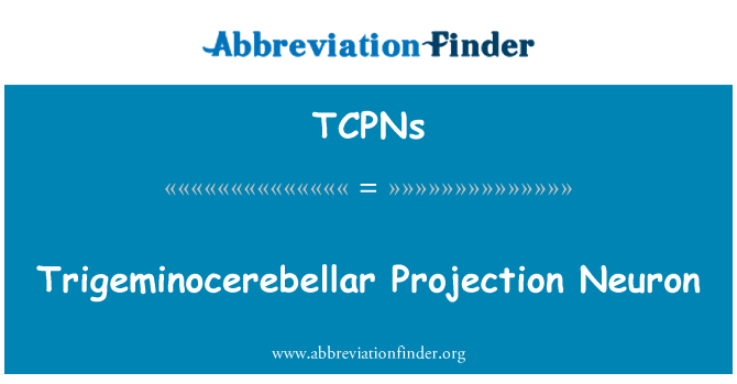 TCPNs: Trigeminocerebellar projektio hermopäätteiden