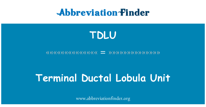 TDLU: 導管九十五終端