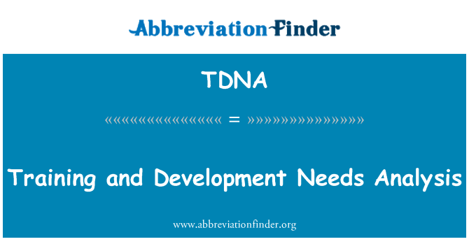 TDNA: 교육 및 개발 요구 분석