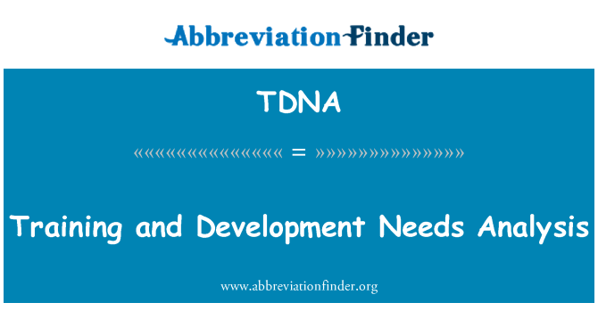 TDNA: 培训和发展需求分析